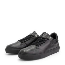 Wayne St. Sneakers High